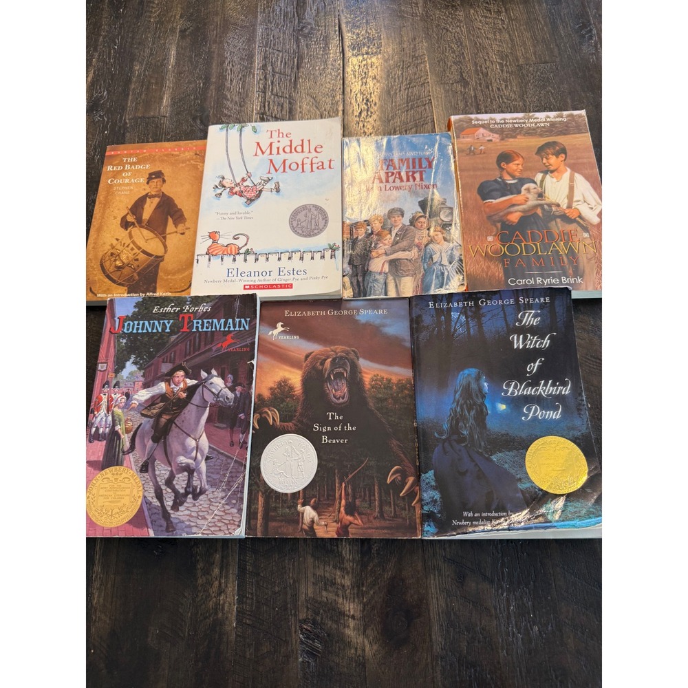 7 Historical Fiction Books Johnny Tremain Witch of Blackbird Pond Newbery Lot